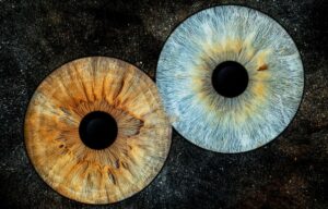 Lire la suite à propos de l’article 👁️ Ce que révèle un iris : un moment de contemplation sur soi